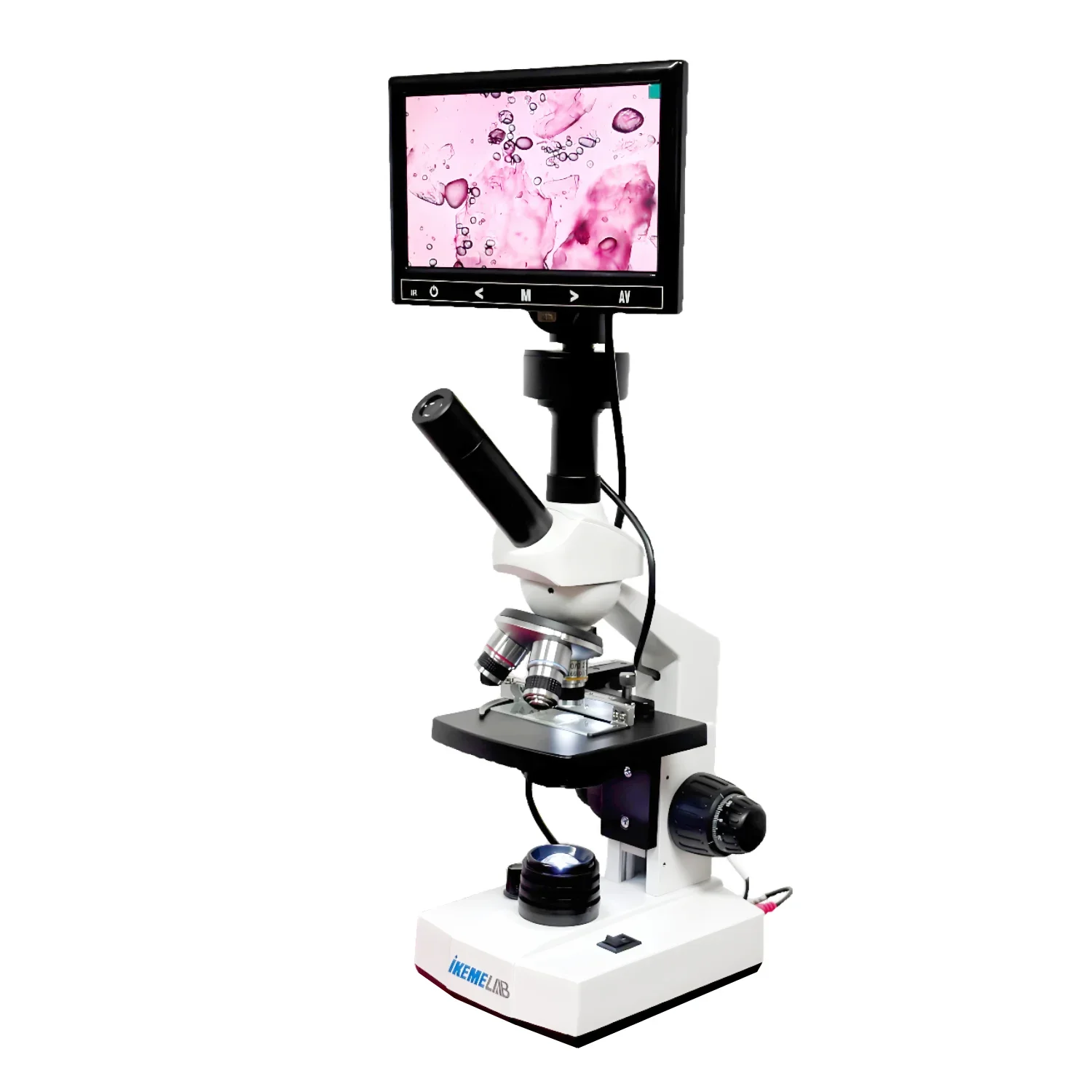 WEIAI Top Selling HD Screen LED Light Digital Laboratory Medical Cell Biological Binocular Microscopes for Students Laboratory