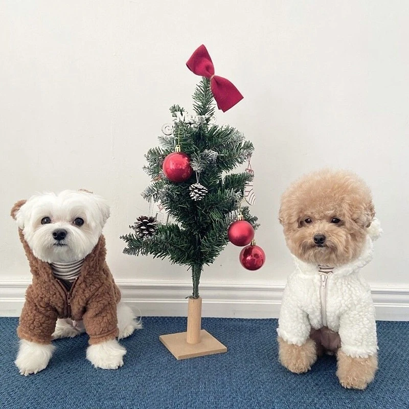 Warm Dog Hooded Clothes Bear Transformed Clothes Cute Puppy Winter Dog Clothing Coat Plush Button Up Shirt Jackets Dog Clothes