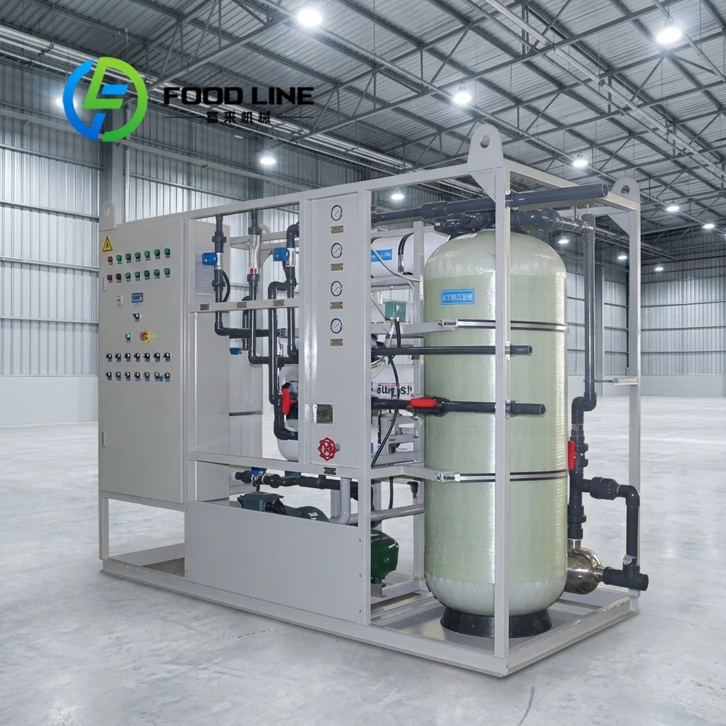 Industrial RO Water Purifier 50TPD Seawater Reverse Osmosis Filter System Machinery for Water Treatment Customize
