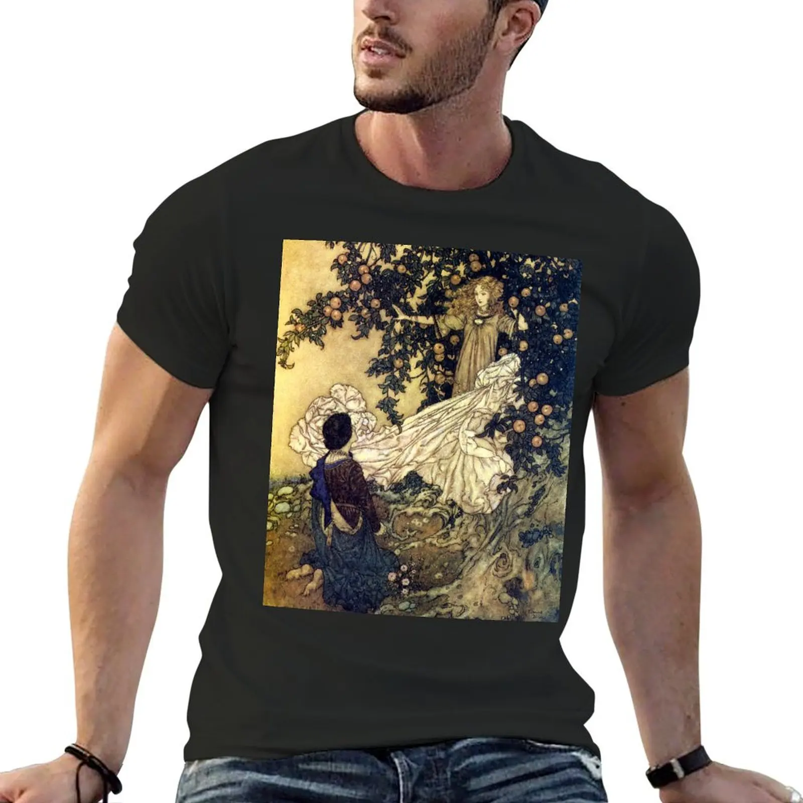 Edmund Dulac - The Garden of Paradise Fairy T-Shirt Blouse summer clothes vintage graphic shirts men