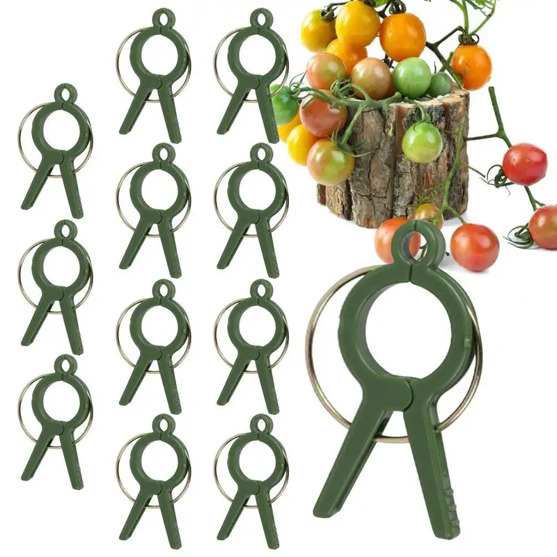 12Pcs Plant Fixed Clips Plant Support Clips Plastic Ties Trellis Stake Clips Garden Veggie Tomato Greenhouse Holder Garden Tools