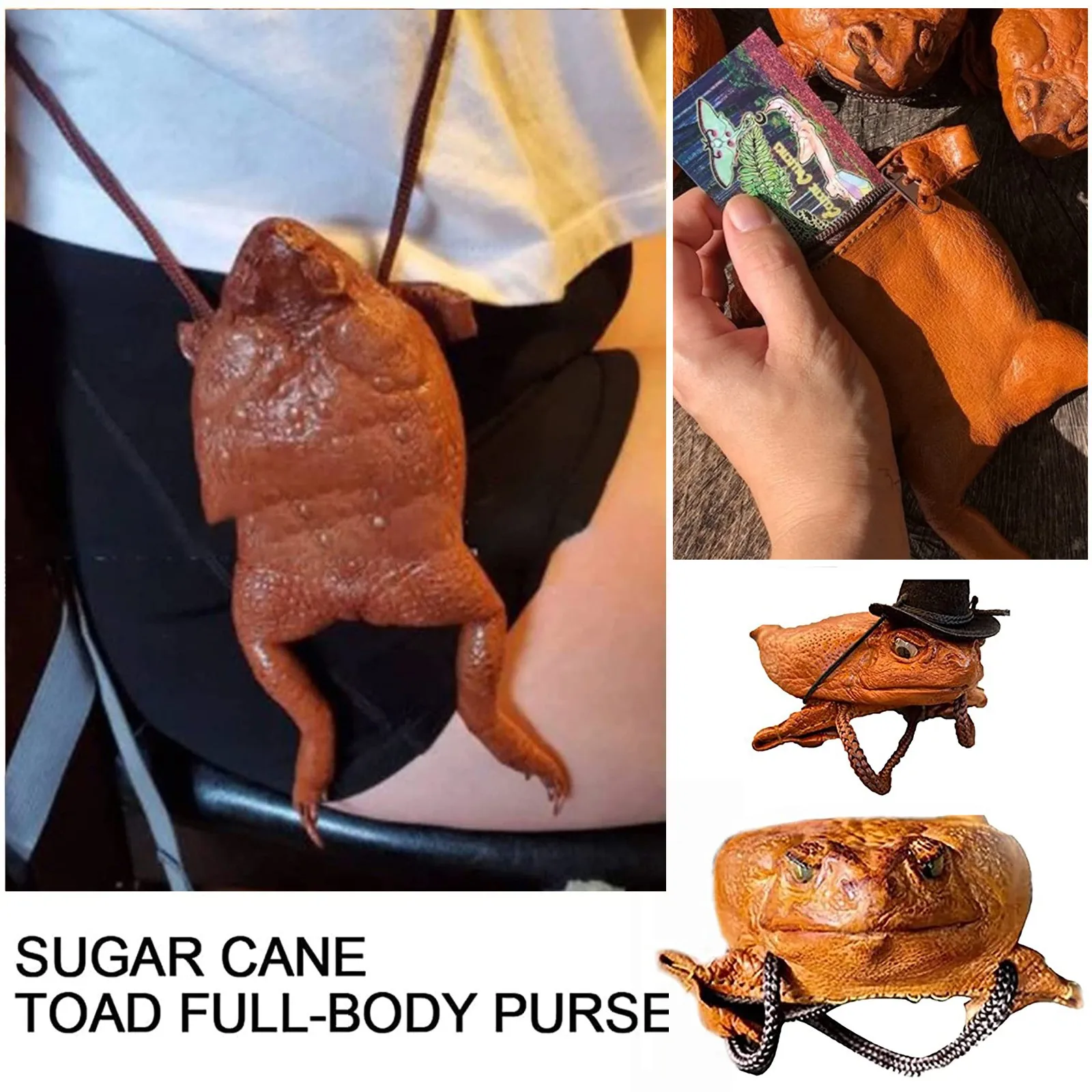 Sugar Cane Toad-Full-Body Purse, Coin Pouch Made From Taxidermy Cane-Toad Simulation toad coin purse, fun wallet