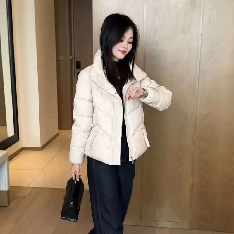 2026 Lamb Wool Big Faux Fur Collar Small Sheepskin Solid Color Jacket Korean Version Down Cotton Thick Loose Cotton Jacket