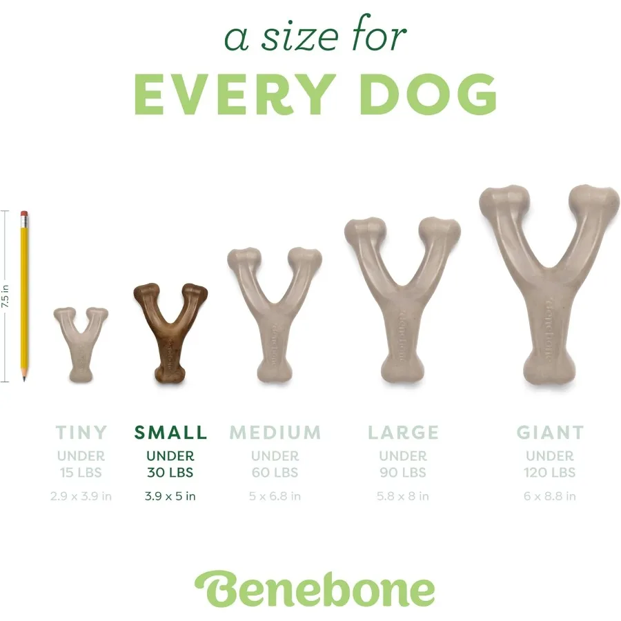 アメリカ製ウィッシュボーン丈夫な犬用噛むおもちゃ（噛む力の強い犬用）小型、本物のベーコン風味