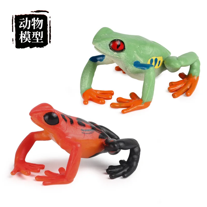 Simulation Animal Model Cognition Frog Tree Frog Red Poison Dart Frog Wild Animal Toy Ornaments