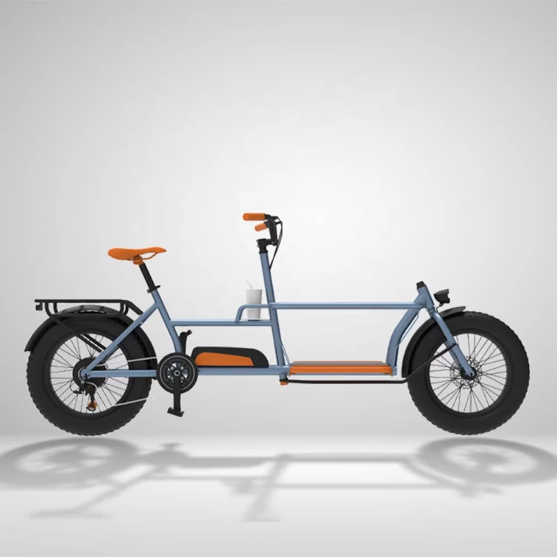 

Front loading 48V500W high torque electric cargo bike