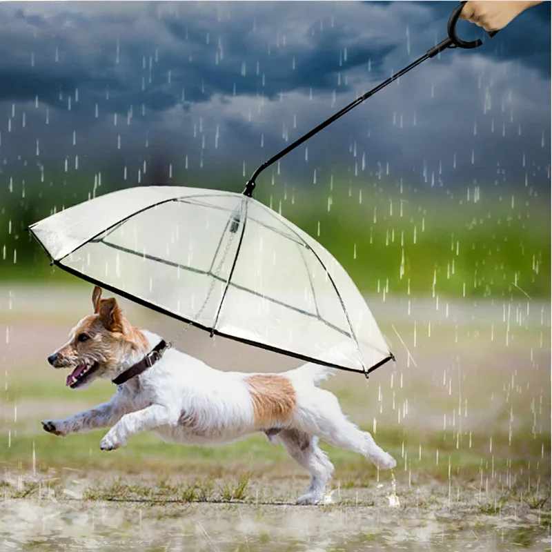 Creative Transparent Pet Umbrella Dog C-shaped Umbrella Convenient Foldable Pet Products Adjustable Dog Leash