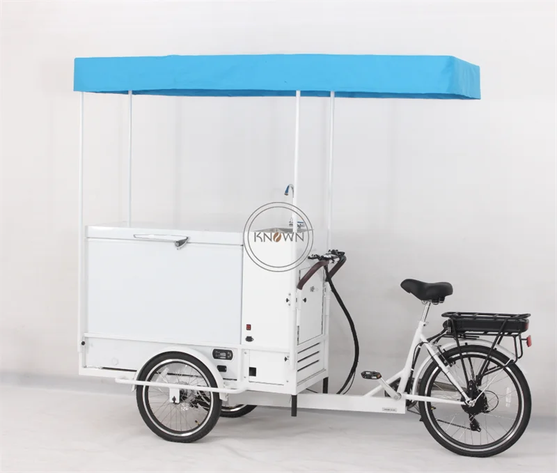 Electric Ice Cream Vending Tricycle Outdoor Mobile Cold Drink Bicycle Three Wheel Cargo Bike for Sale