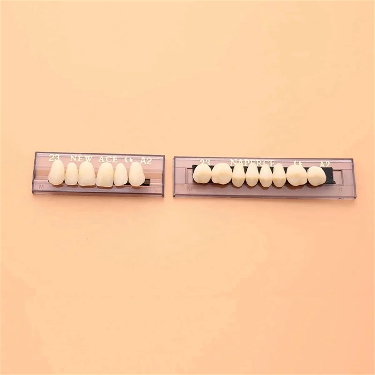 Dentadura De Resina Sintética Para Dentes De Terror De Halloween, Odontologia, Educação Odontológica, 168 Dentes