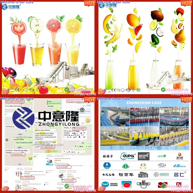 CE Certificate High Quality Commercial Fruit Orange Juicer Ginger Mango Lemon Pineapple Cashew Juice Extractor Filling