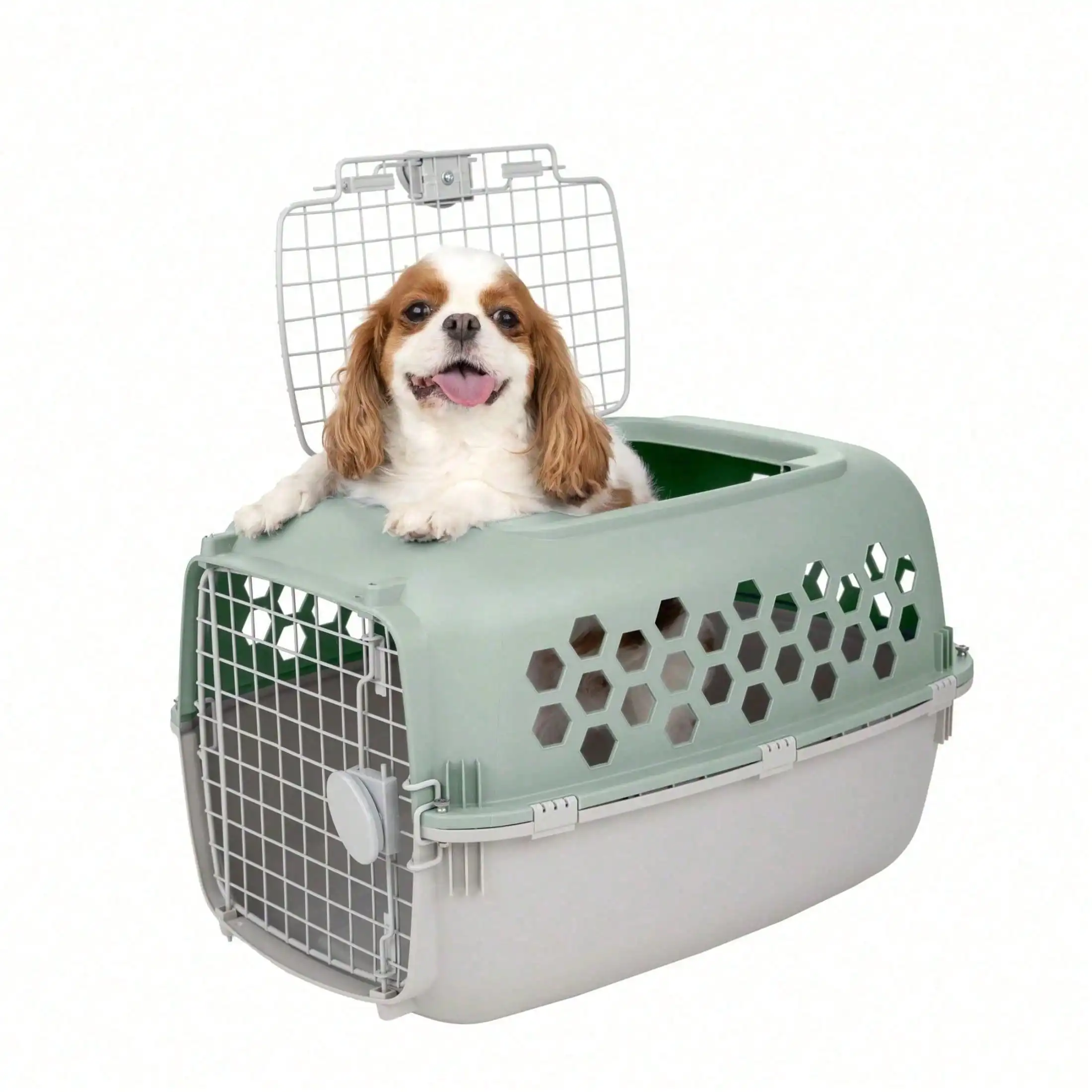 

Портативная авиационная переноска для животных, 2-дверная пластиковая переноска для собак 24 дюйма, зеленая