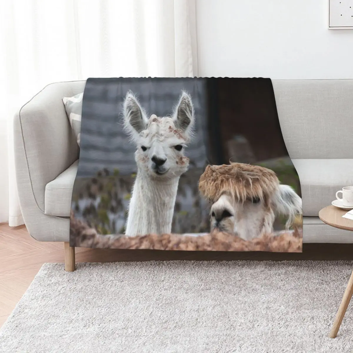 

Curious alpacas cute animals Throw Blanket for winter heavy to sleep Camping Decorative Sofa Blankets