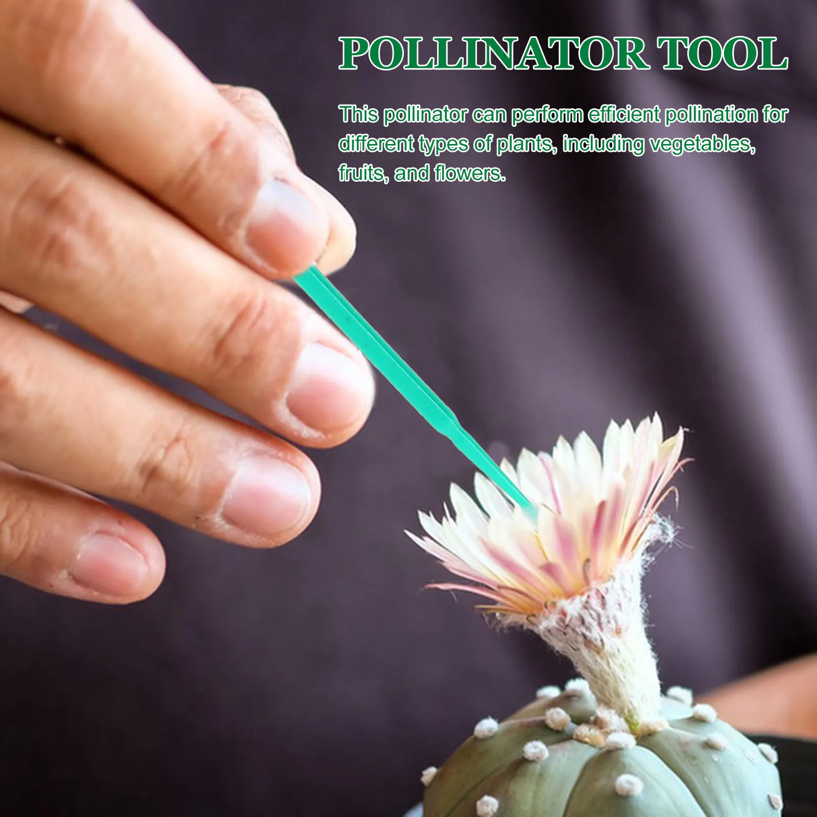 

100 Pcs Chalk Pen Fruit and Vegetable Growing Tools Flower Pollination Pollinator Green
