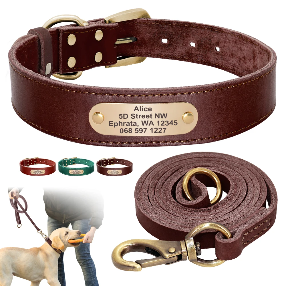 Ensemble collier et laisse pour chien en cuir véritable, personnalisé, colliers et laisses pour animaux de compagnie en cuir véritable, sur mesure pour chien de petite, moyenne ou grande taille,