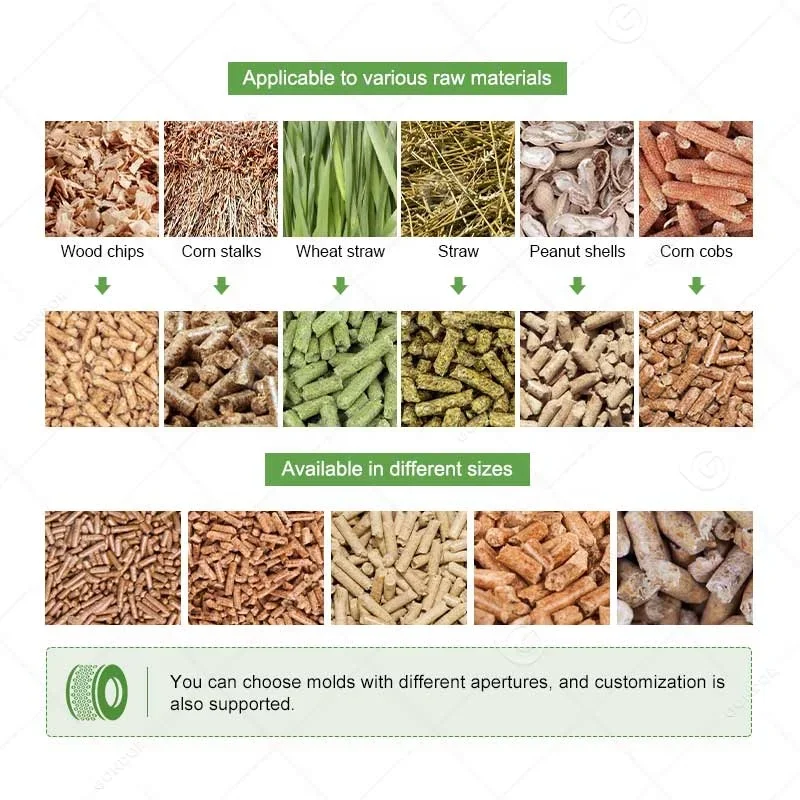 Commercial Vertical Ring Die Wood Pellet Biomass Line Manufacture Pellet Make Machine 2 Ton Rice Husk