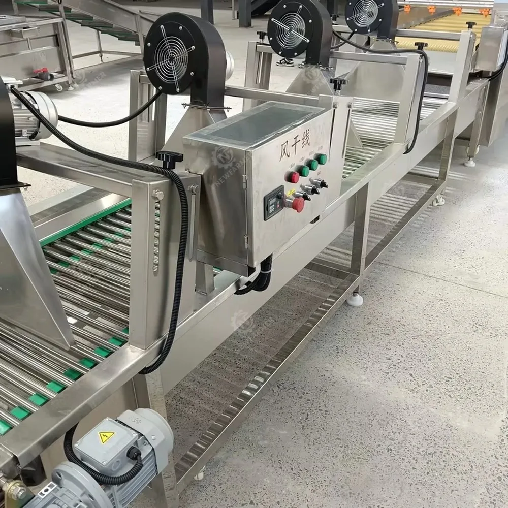 Commercial Continuous Conveyor Air Drying Machine Potato Chips Cooling Dehydrator Line with Fans Air Blower for Food