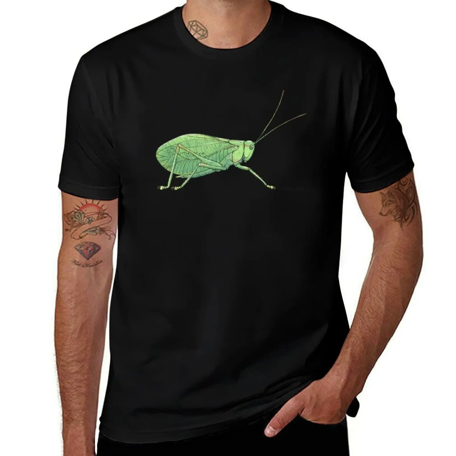 Permotettigonia gallica T-Shirt Plus Size Simple Casual Top T-Shirt