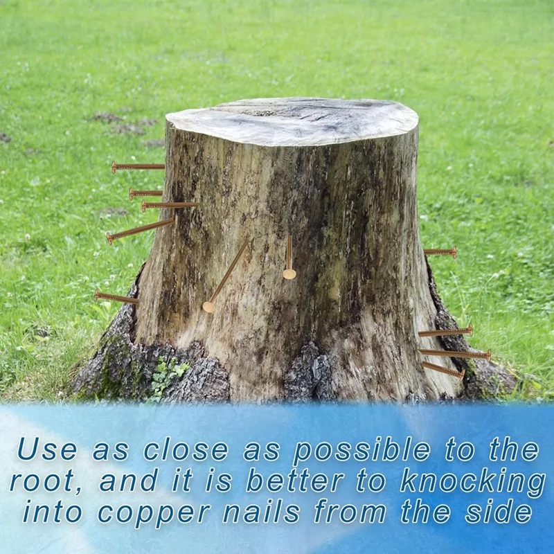 Copper Nails To Killing Trees,3.5 Inch Pure Copper Nails Bulk,Stump Removal Spikes Hardware Nails For Trees