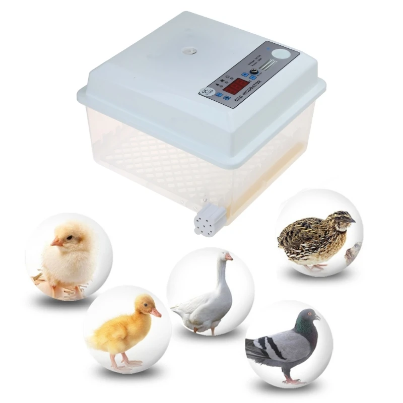 Electronic Thermostat Automatic Egg Turner Eggs Hatching Incubator Bird Quail Chick Hatchery Incubator Poultry Drop Shipping