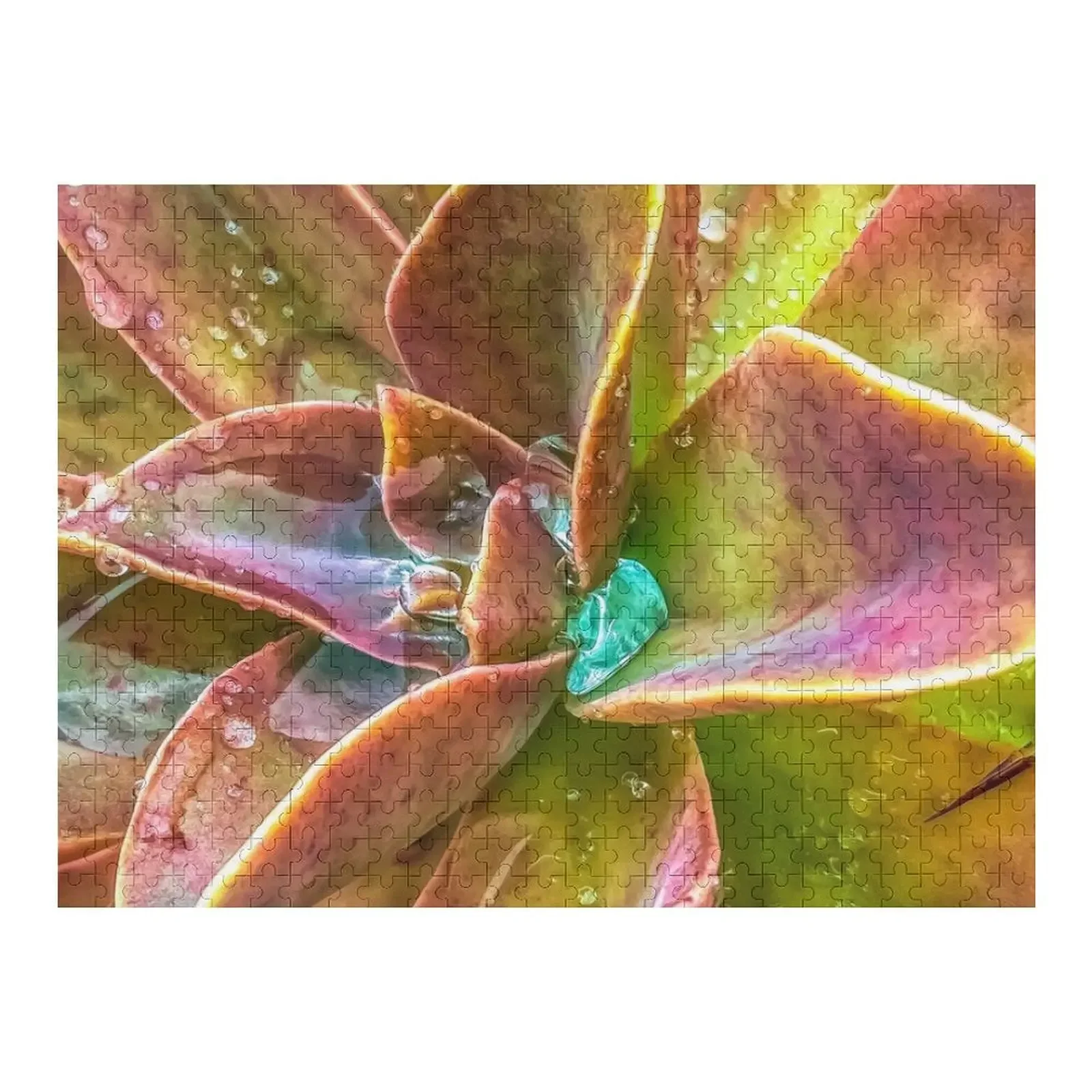 

closeup green and pink succulent plant with water drop Jigsaw Puzzle Jigsaw For Kids Wooden Decor Paintings Puzzle