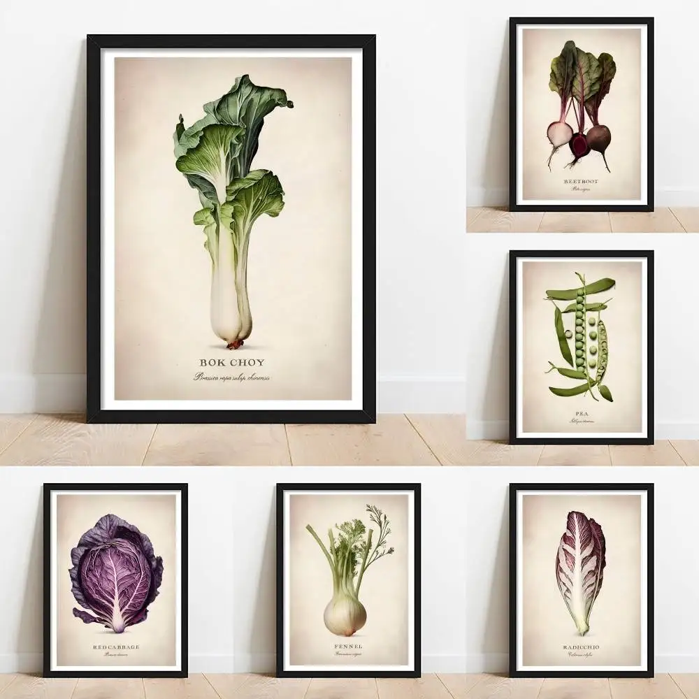 Póster Botánico Vintage de Vegetales: Ilustración Científica de Bok Choy, Hinojo, Guisante y Remolacha, Impresión de Pared para Decoración de Cocina y Comedor