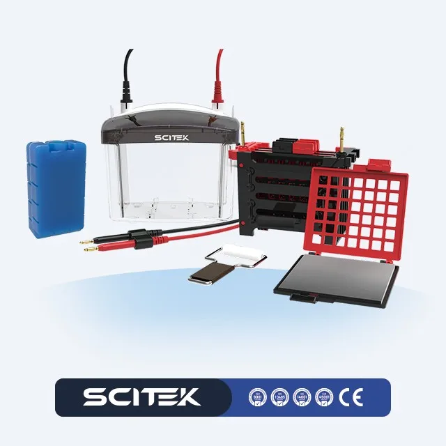 COOFULL Horizontal Electrophoresis Apparatus High Temperature Resistant Alloy Plastics Timing Function 230 mL Buffer Volume