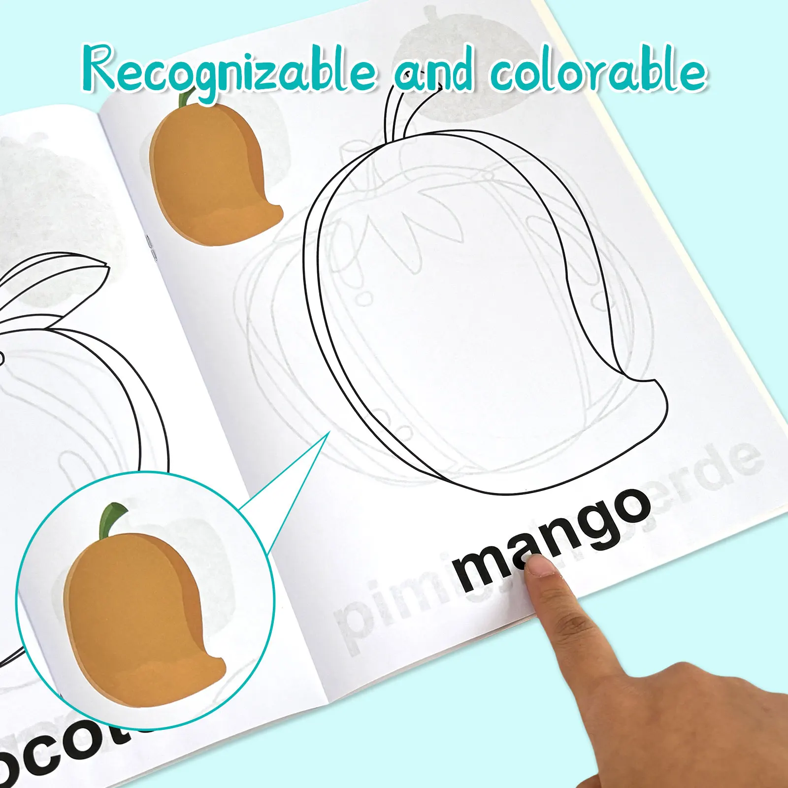 Spanish Children's Colouring Book 4-8 Years Animals Fruits Transportation Enhance Creativity and Imagination Drawing Gifts