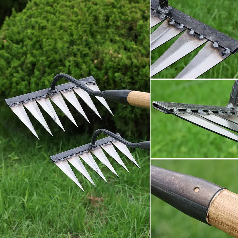 Imagem -03 - Carbon Steel Garden Hand Rake Farm Tool Weeding Scarifier Agricultural Nail Harrow Metal Garden Weedingtool Dentes Dentes Dentes Dentes