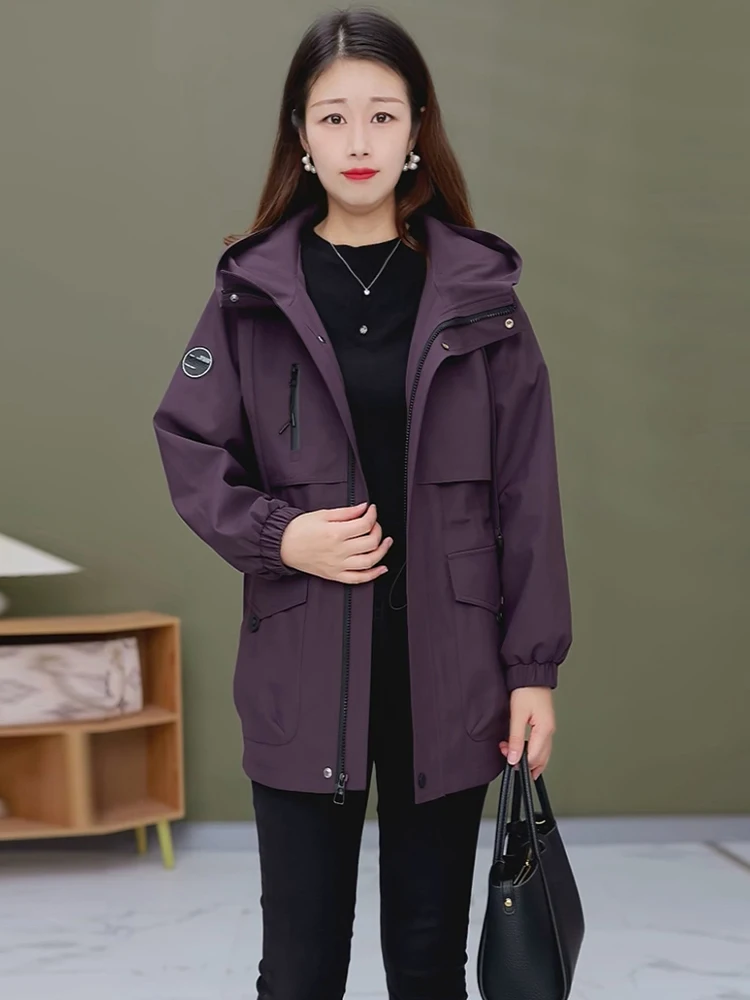 เสื้อฮู้ดสไตล์เกาหลีลำลองสำหรับผู้หญิง ทรงหลวม ไซส์ใหญ่ เหมาะสำหรับต้นฤดูใบไม้ร่วง ให้ความรู้สึกสบายๆ ทันสมัย