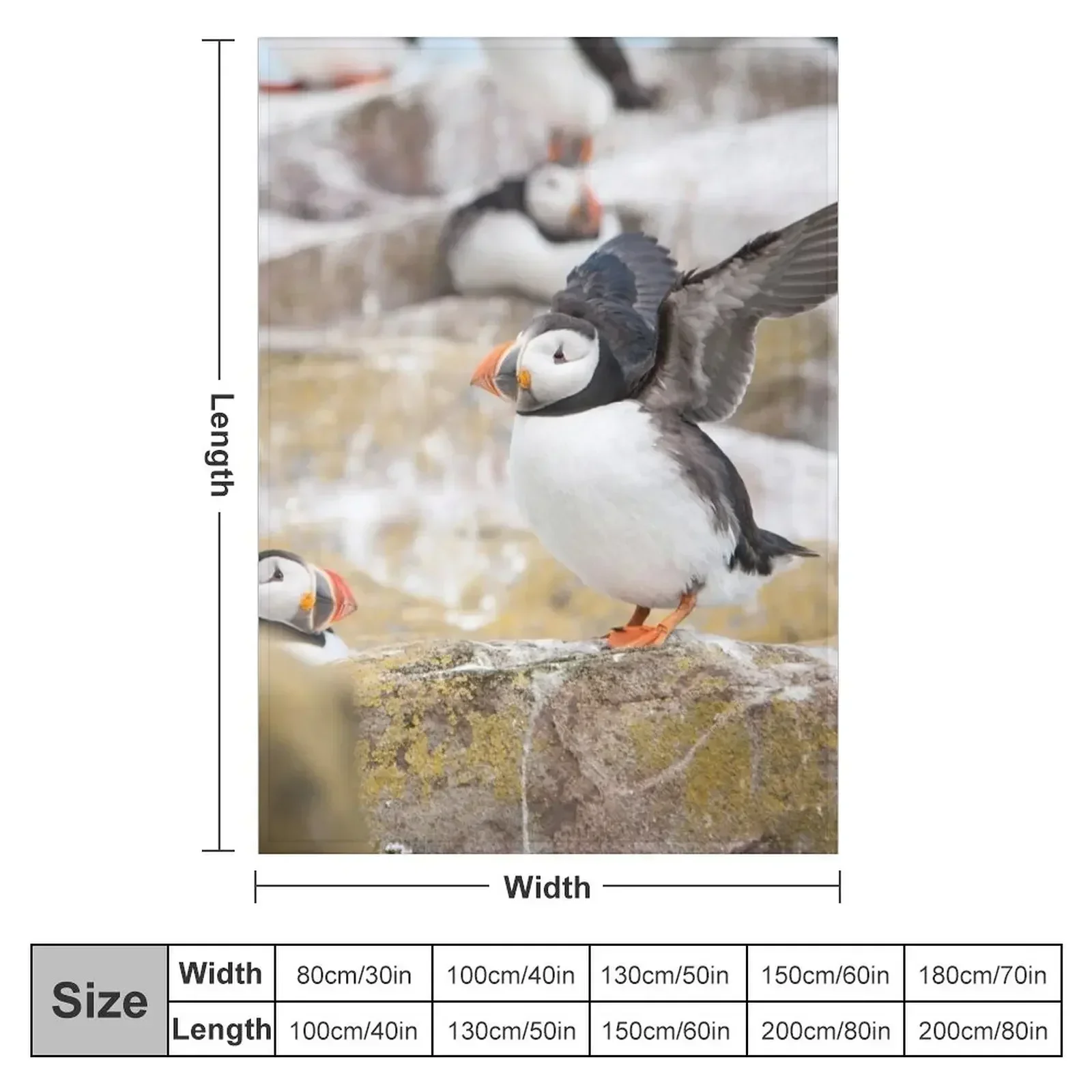 New Atlantic Puffin Photography Throw Blanket Bed covers Soft Plaid Thin Soft christmas decoration Blankets