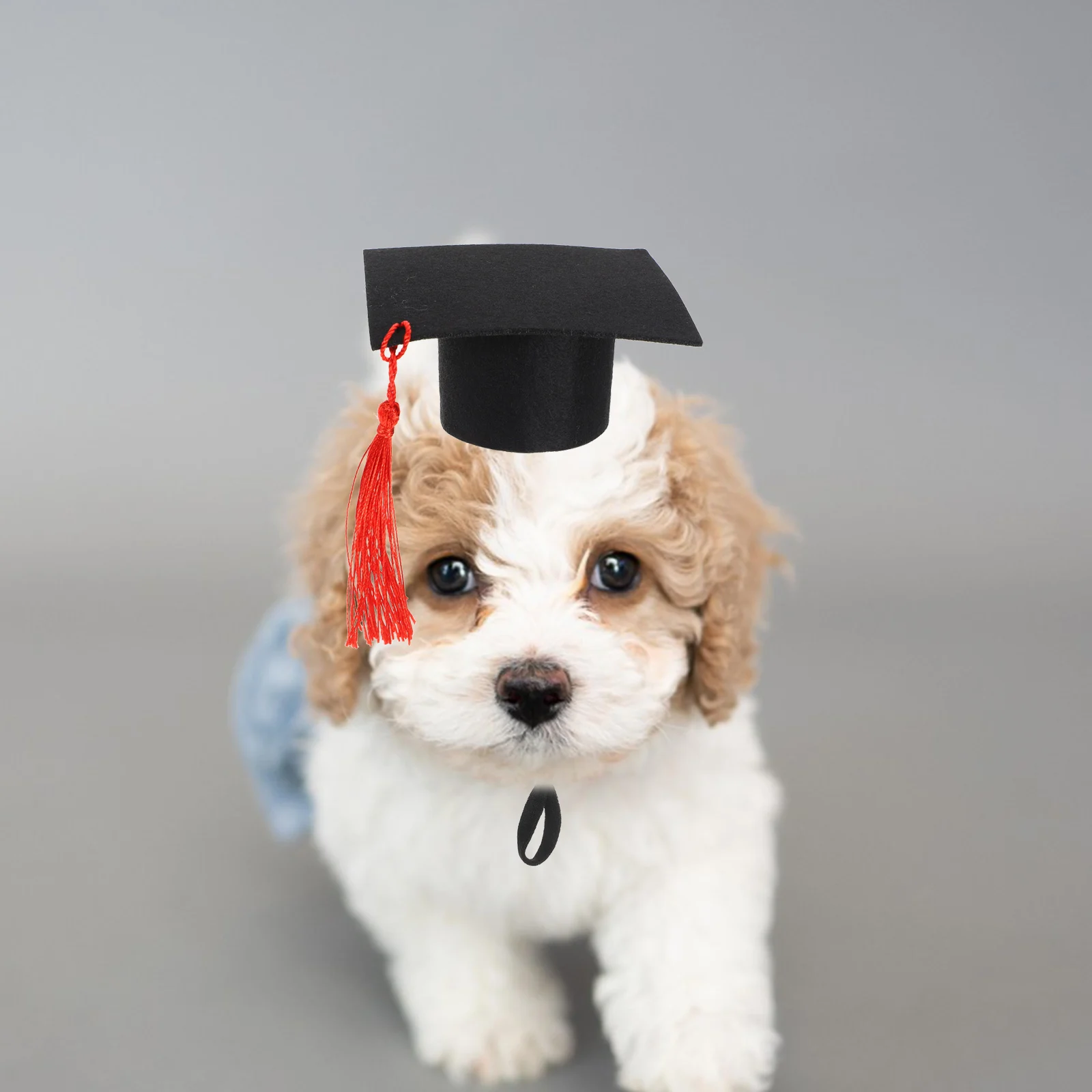 

Mini Graduation Cap Small Pets Lightweight Safe Material Pet Costume Photo Prop Hat Suitable for Mice Hamster Hedgehogs Guinea