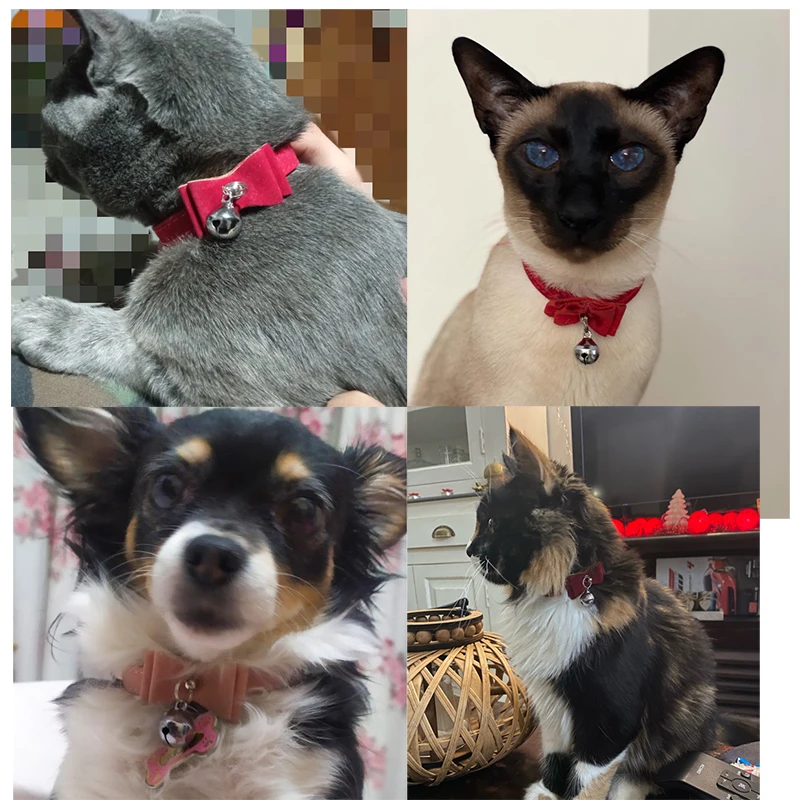 Bow Custom Cat Collar Personalized ID Adjustable Safety Soft Velvet with Bell Dog Collar Free Engraving Puppy Kittens Necklace