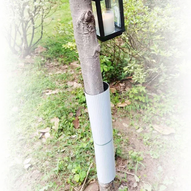 Baums chutz aus Kunststoff