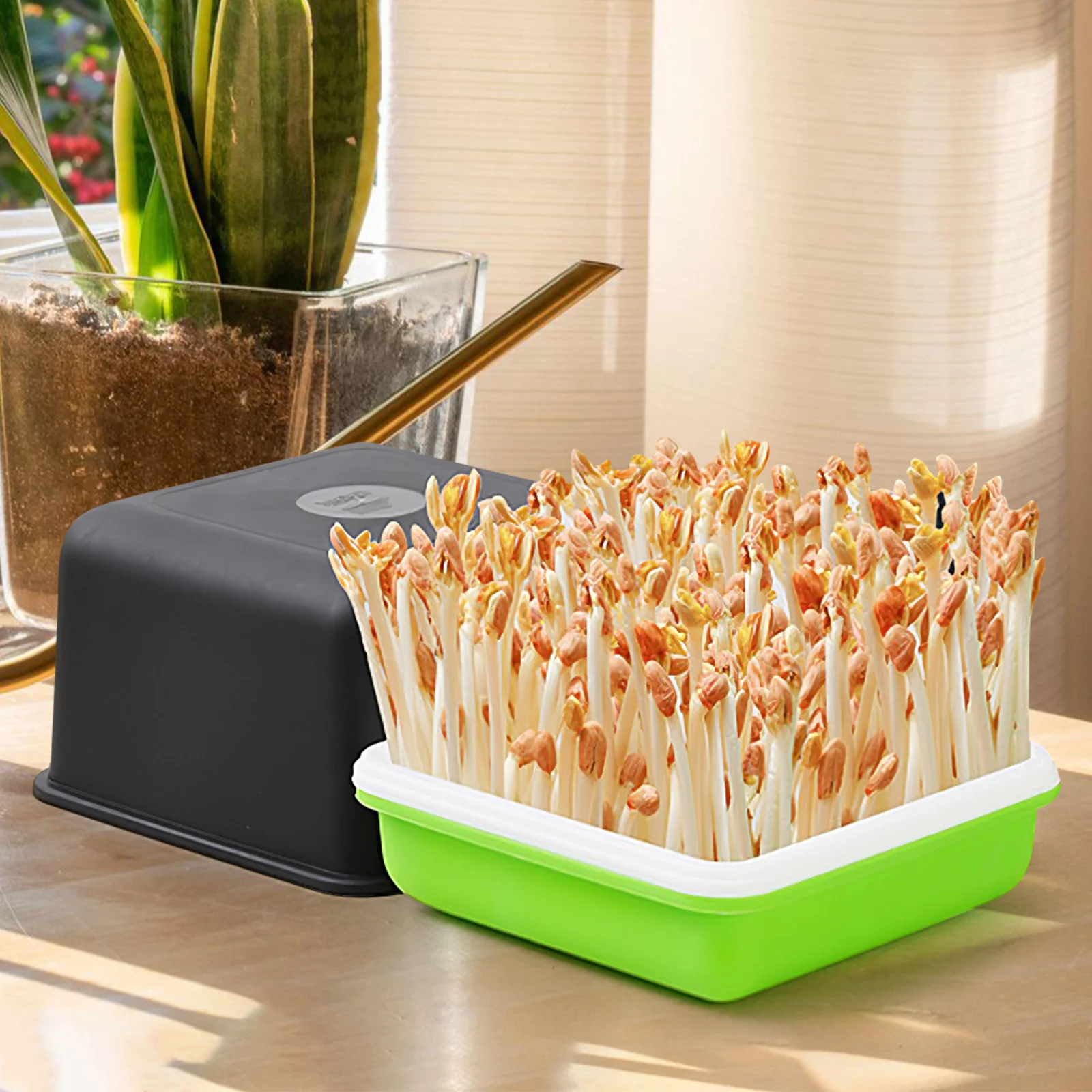 1 مجموعة 1 مجموعة المائية الفول السوداني تنبت صينية سعة كبيرة نبات الحضانة البستنة نشر عدة لصواني إنبات البذور #1