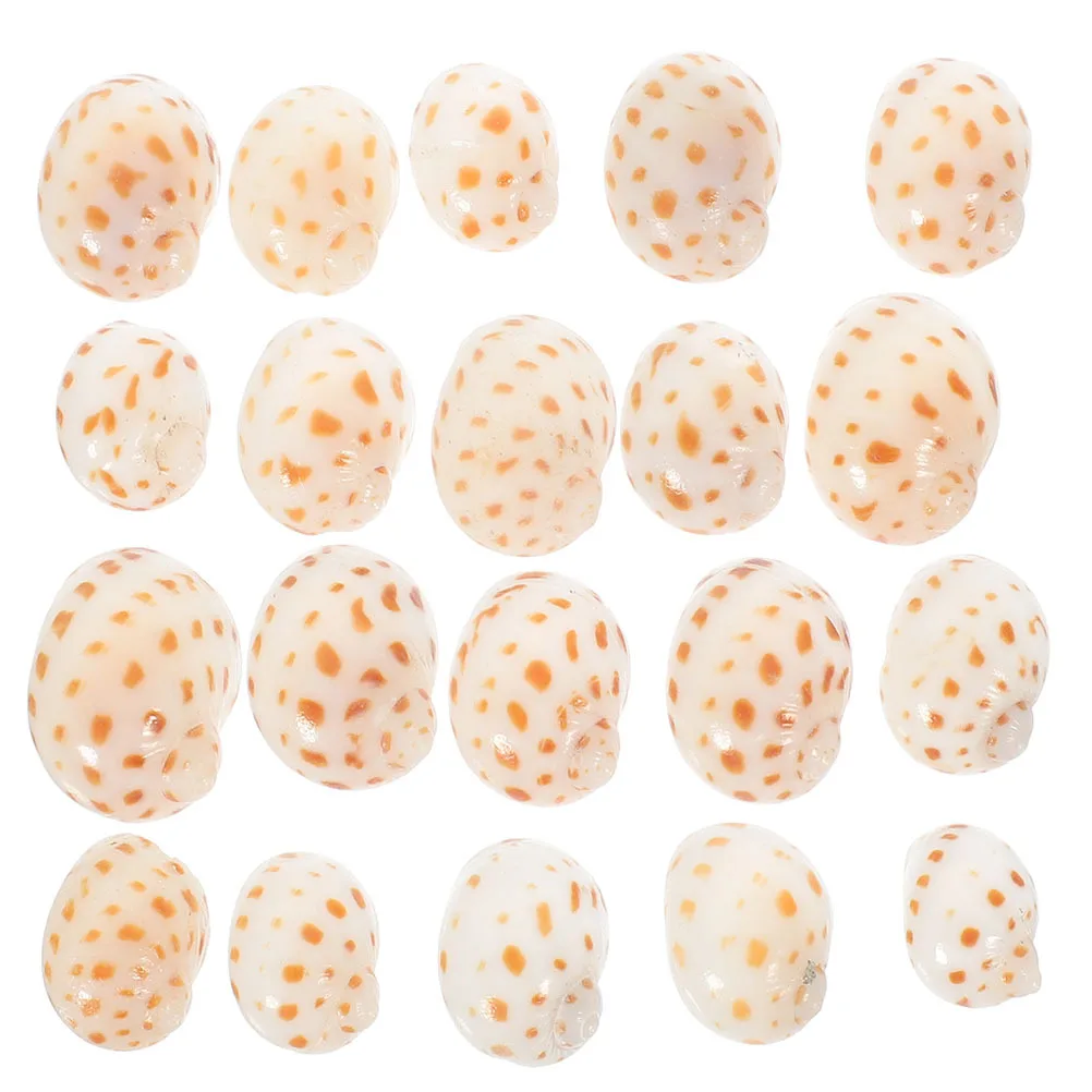 

40Pcs Natural Conch Hermit Crab Shells Aquarium Landscaping Decoration Realistic Small Sea Shells DIY Accessories