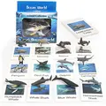 B 24PCS