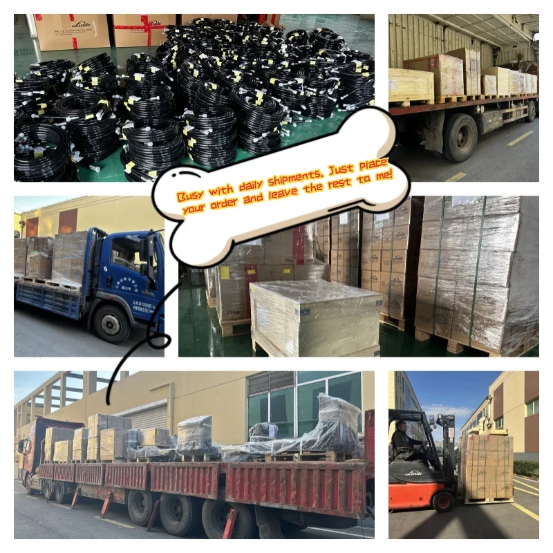 Factory Direct Sale Oem Potentiometer Forklift Spare Parts Potentiometer 7520285 Use for BT Forklift
