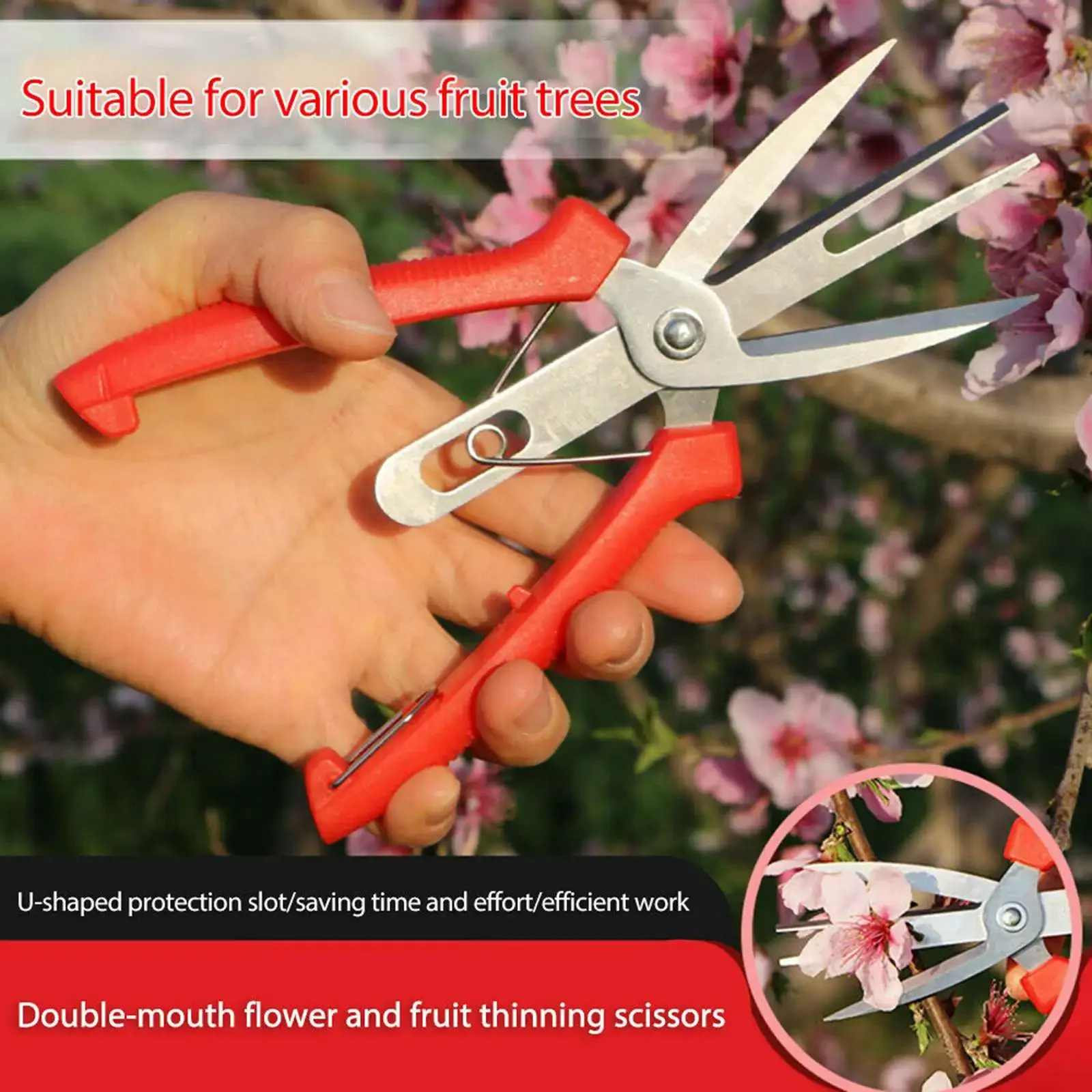 SK5 Carbon Steel Double-Port Fruit and Flower Thinning Shears Garden Pruning Shears Garden Tools 65 (mm) Hand Tools Scissors