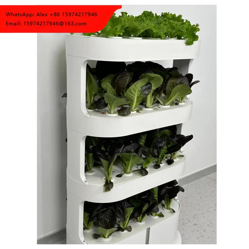 Indoor Vertical Hydroponic Growing System Intelligent Control Grow Lights Water For Vegetables