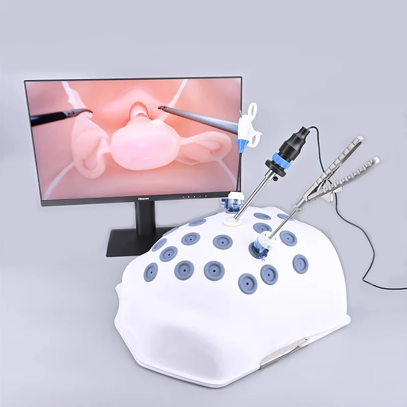 FLS Laparoscopic simulator Belly Training Box with HD Camera and Laproscopy Simulated Instruments for Teaching and Practice