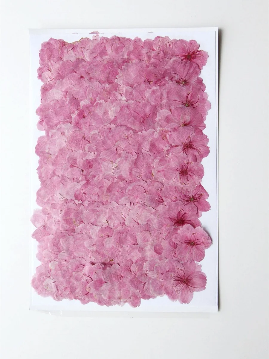 花,結婚式,誕生日のポストカード,ブックマーク,電話ケース,フェイスメイク,ランプカード,日曜大工用のドライチェリー形の花,60個