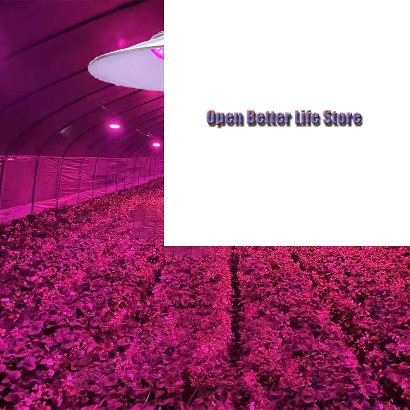 

Professional-grade LED Supplemental Lighting For Vegetable And Flower Seedling Cultivation In Vegetable Greenhouses