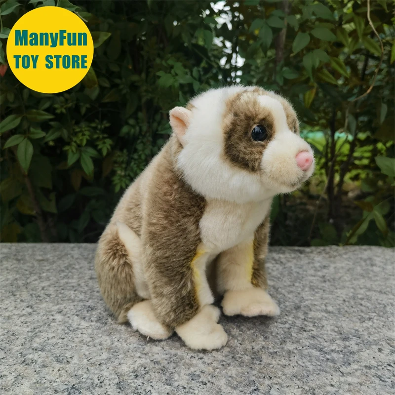 Slow Loris Plüschtier, lebensechtes Loris Stofftier, realistischer Nycticebus, Plüschtier, Affe, Simulationspuppe, Geschenk, Sammler