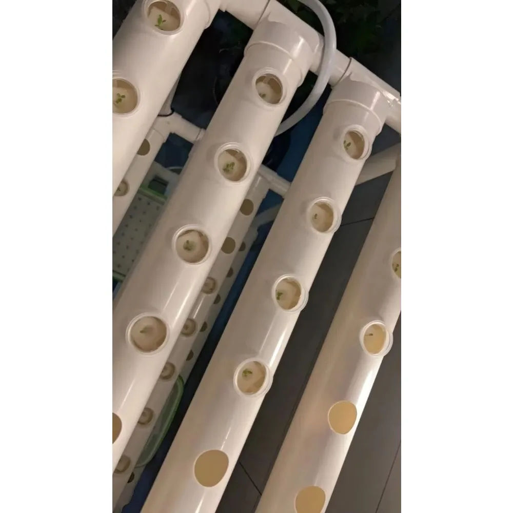 Vertical Farming Greenhouse Factory Lettuce Microgreens Hydroponic Grow Shipping Container Farm