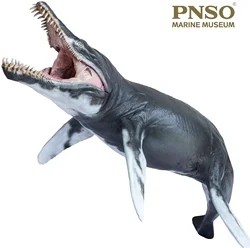 PNSO MARINE MUSEUM JEFF THE KRONOSAURUS 1:35 SCIENTIFIC ART MODEL Animal Collector Model Adult Education Toy Gift