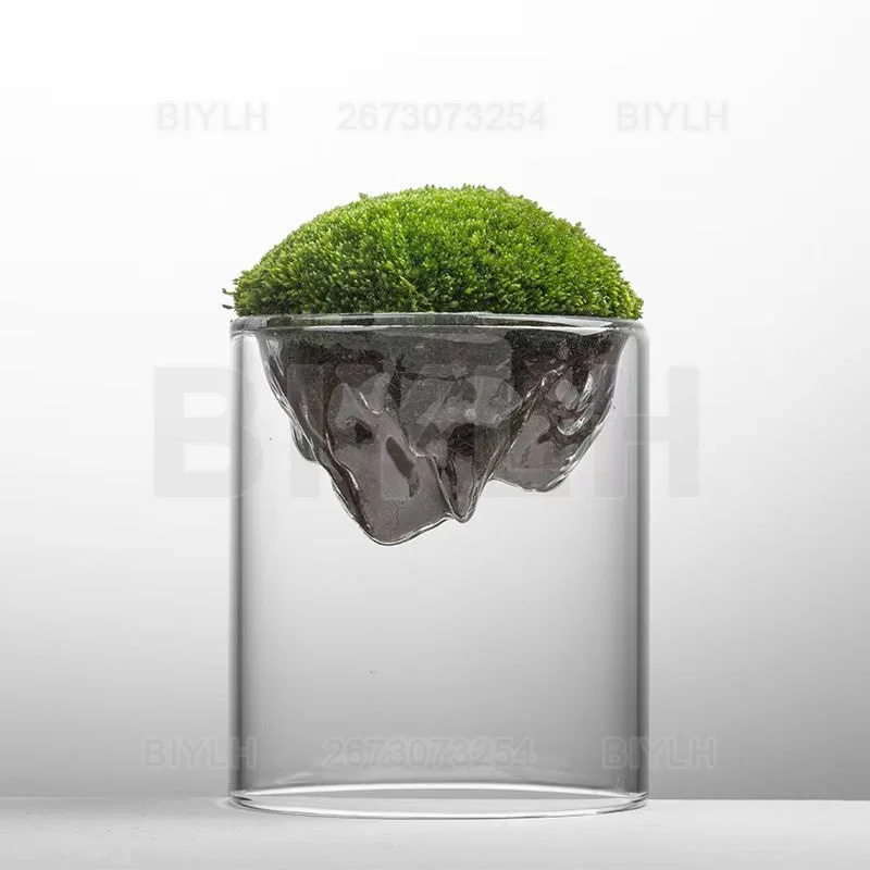Transparent Glass Moss Bottle for Micro-landscape Home Decoration Ecological Bottle Tabletop Plant Vase Gardening Potted Plants
