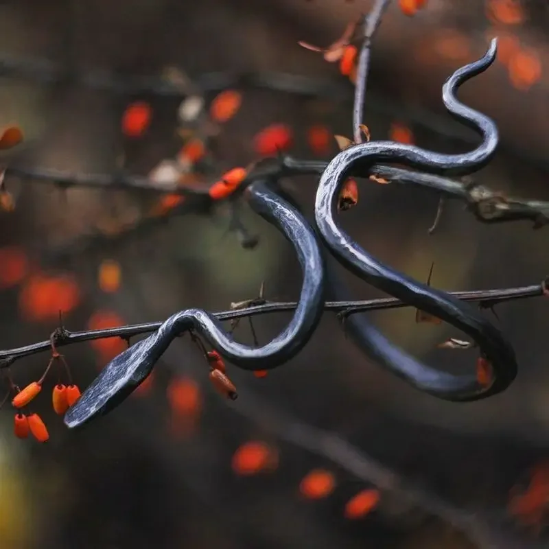 Hand-forged iron, bracelet personalized snake bracelet jewelry iron