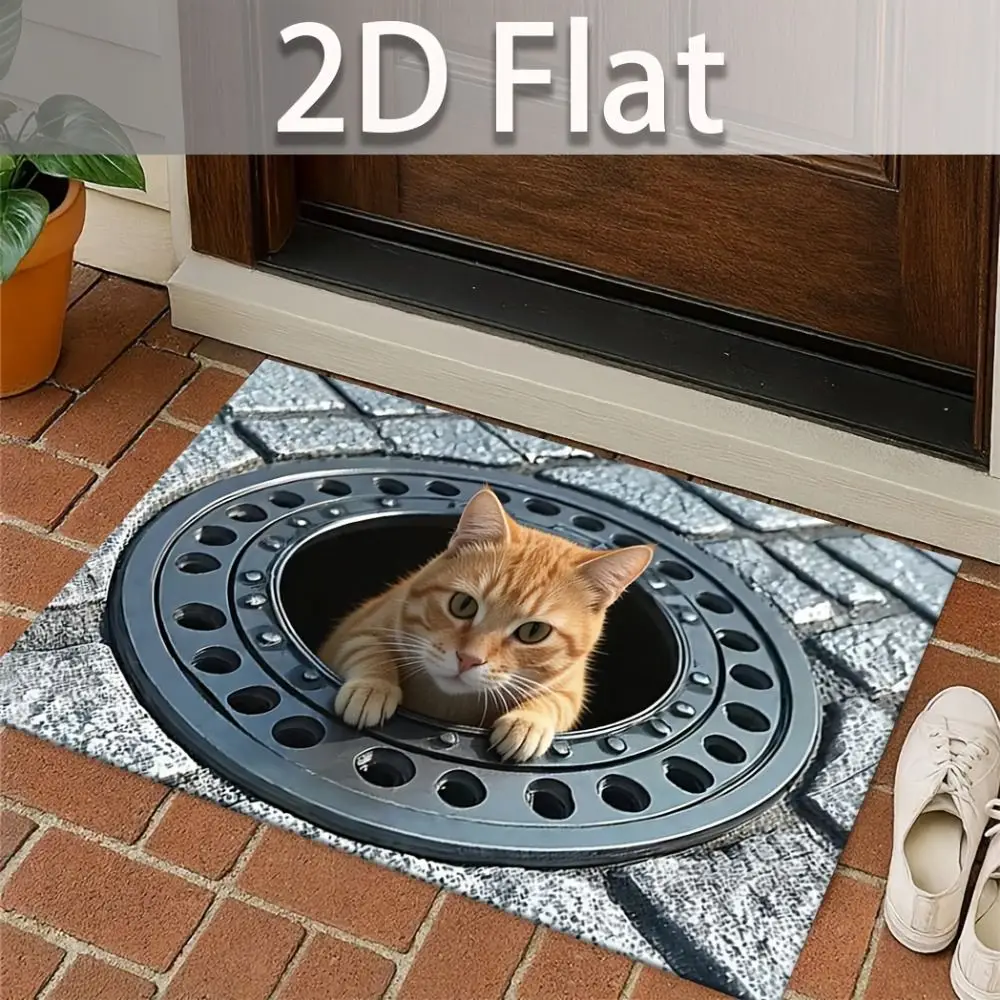 2D Flat Optical Illusion Doormat Non-slip Water-absorbing Bathroom Carpet Durable Abrasion-resistant Bedroom Door Rug Home Decor