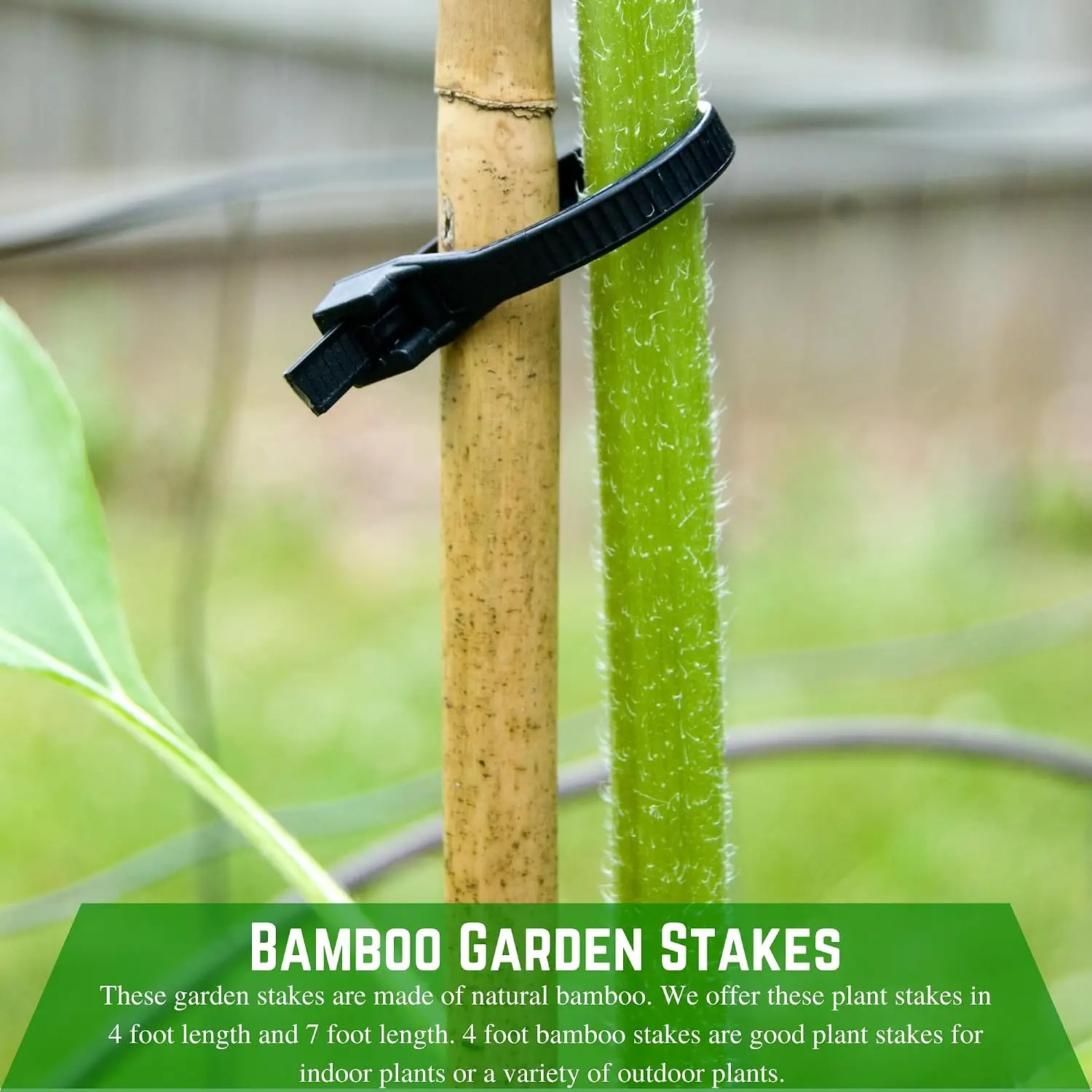 - Bamboo Garden Stakes - Bambo Sticks, Bamboo Plant Stakes for Outdoor Plants, Plant Support Stakes for Indoor Plants (7 Foot, 1