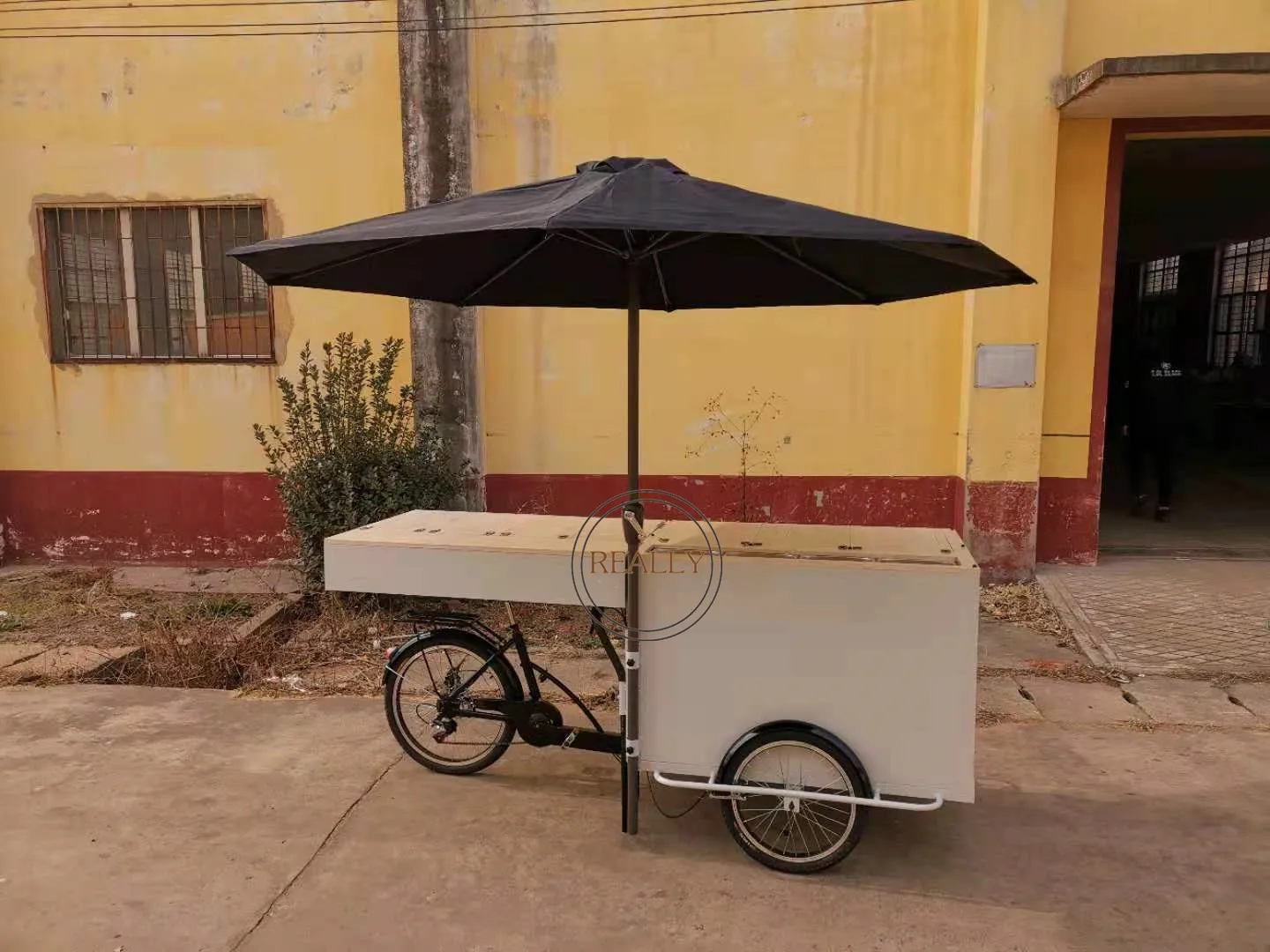 Collapsible Electric Tricycle for Adults Bicycle Ice Cream Cola Drinks Food Cart Pedicab Bike With a Freezer 6 Speed 250W Motor